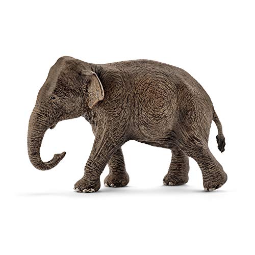 슈라이히 와일드라이프 인도 코끼리 (암) 14753 601717 피규어 키덜트 일본