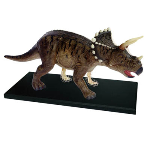 인체 모형 4D 마스터 조립 장식 공룡 티라노사우루스 트리케라톱스-624177