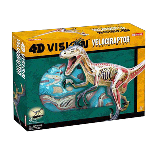 인체 모형 4D 마스터 퍼즐 동물 공룡 대신 랩터-624176