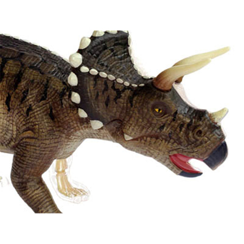 인체 모형 4D 마스터 트리케라톱스 공룡 장기 해부 동물용-624174