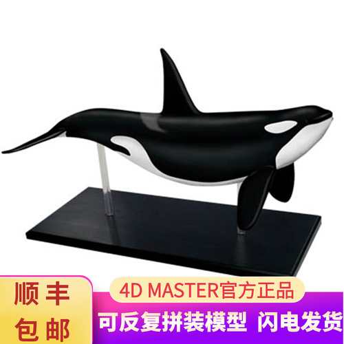 인체 모형 4D 마스터 퍼즐 동물 바이오 고래-624161