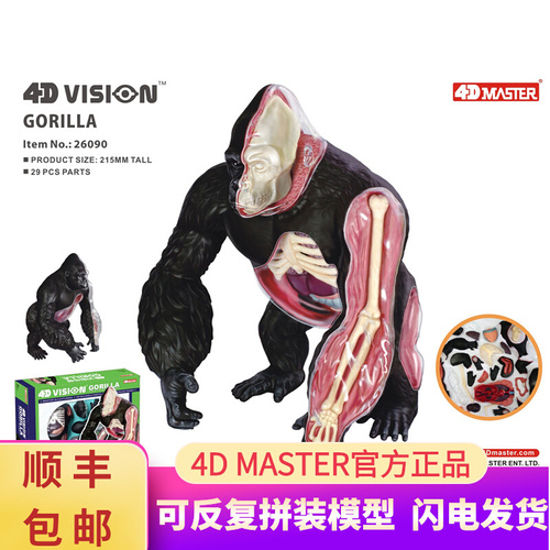 인체 모형 4D 마스터 유인원 오랑우탄 동물 장기 해부 모형-624170