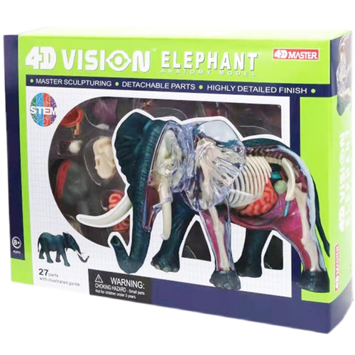 인체 모형 4D 마스터 아시아 코끼리 동물의 내장기관 해부모델-624172