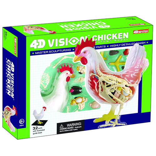 인체 모형 4D 마스터 퍼즐 동물 바이오 닭고기-624163