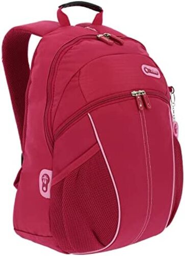 토토 스포츠, 핑크 백팩 미국 등산 가방 배낭-626840