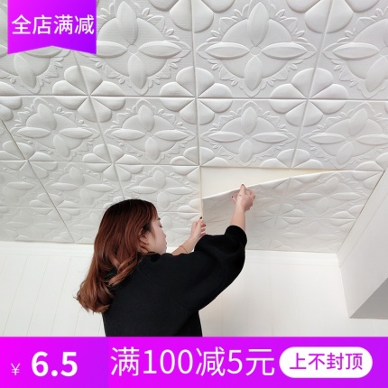 스티커 인테리어 벽지 3D 입체 벽 스티커 침실 지붕 거실 천장 장식 크리에-509834