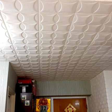 스티커 인테리어 벽지 3D 입체 벽 스티커 침실 지붕 거실 천장 장식 크리에-509834