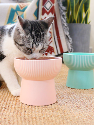 반려동물 고급 식기 스탠드 고양이 그릇 고양이 물그릇 고양이 물그릇 고양이 식량 그릇 보호-514792