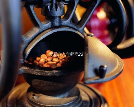 원두 커피 분쇄기 그라인더 원장원목손연두기 가정용분쇄기 수동연삭-521083