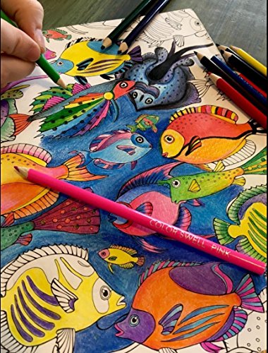 Color Swell 색연필 벌크 팩 30 세트 12 색 모듬 생생한 미리 선명해진 색상 360 토탈 어린이, 교사, 교실에 적합 미국출고 -564165