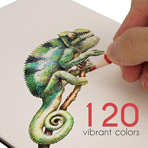 120 색연필 세트, 번호 매기기, 금속 상자 포함-성인 색칠 공부 용 색칠 연필 120 개-예술가를위한 선물 미국출고 -564201