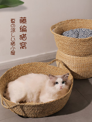 고양이집  캣온 넝쿨 사계절 범용 여름 돗자리 개울넷 레드캣 펫 침대 고양이-575697