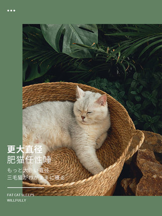 고양이집  라탄 캣츠 썸머용 넷 레드 캣츠 침대 텀블러 부들 고양이 똥개 잡기-575742
