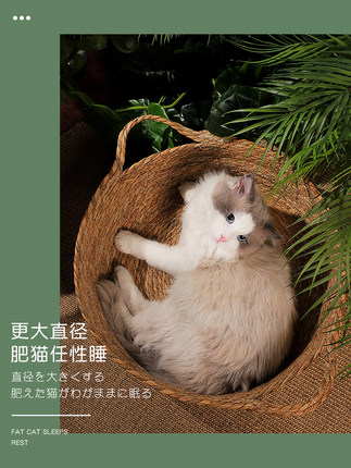 고양이집  고양이 넝쿨 사계절 통용 여름 발톱침대 매트, 개집털이 레드 캣츠-575836