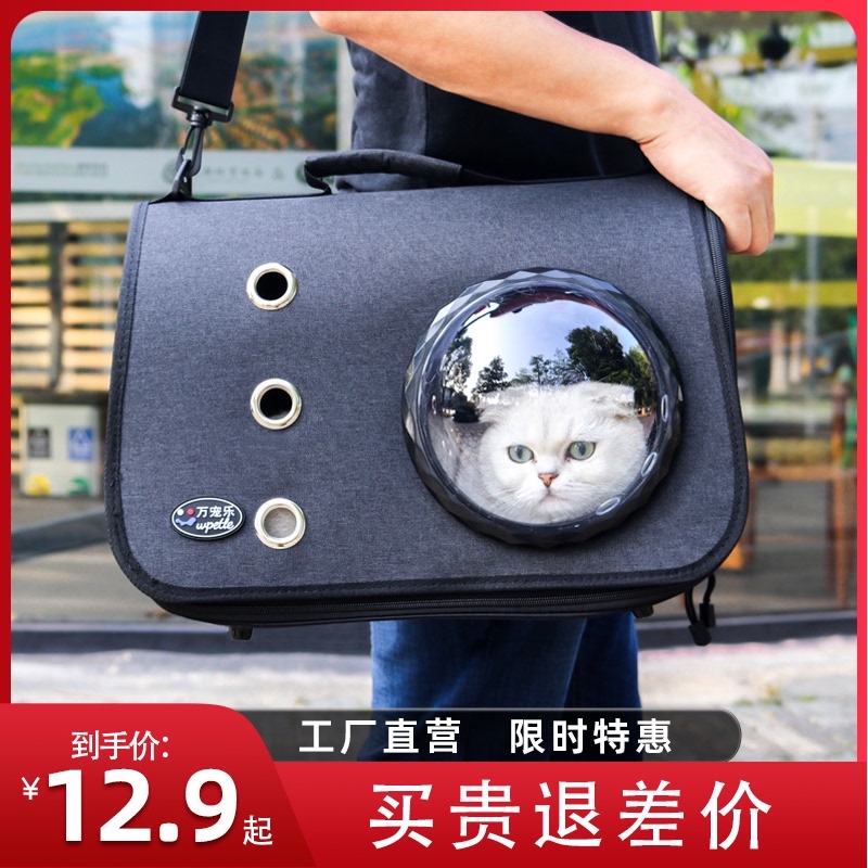 강아지 고양이 이동가방 배낭  반려묘 가방 외출 투명 숄더 백팩 스페이스 캡슐 캣-576056