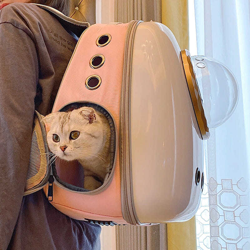 강아지 고양이 이동가방 배낭  고양이 가방 양어깨 외출 가방 스페이스 캡슐 용량, 애완견 두 마리 동반-576067