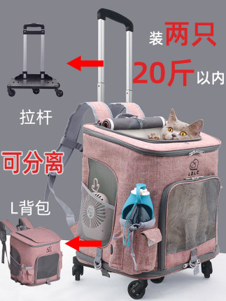 강아지 고양이 이동가방 배낭  대용량 배고양이 가방 두 마리 외출용 캐리어 통풍도그-576092