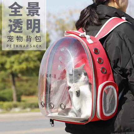 강아지 고양이 이동가방 배낭  고양이 가방 나들이 애견용 고양이 가방 들고 외출 백팩 스페이스 캣 통기-576142