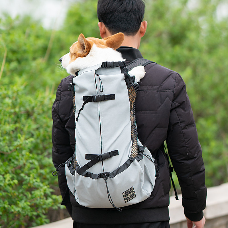 강아지 고양이 이동가방 배낭  강아지 양어깨 도그 가방 커키 백팩 빅 도그 라지-576152