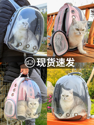 강아지 고양이 이동가방 배낭  고양이 가방 나들이 가방 우주석 투명 백팩 고양이 우리 강아지 애완동물-576169