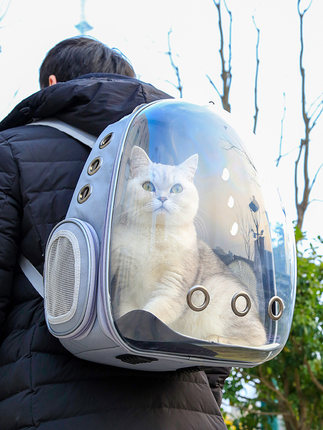 강아지 고양이 이동가방 배낭  고양이 가방 나들이 가방 우주석 투명 백팩 고양이 우리 강아지 애완동물-576169