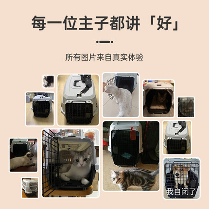 강아지 고양이 이동가방 배낭  고양이 가방 외출 고양이 배낭 스페이스 펫 가방 에어박스 샤워신-576176
