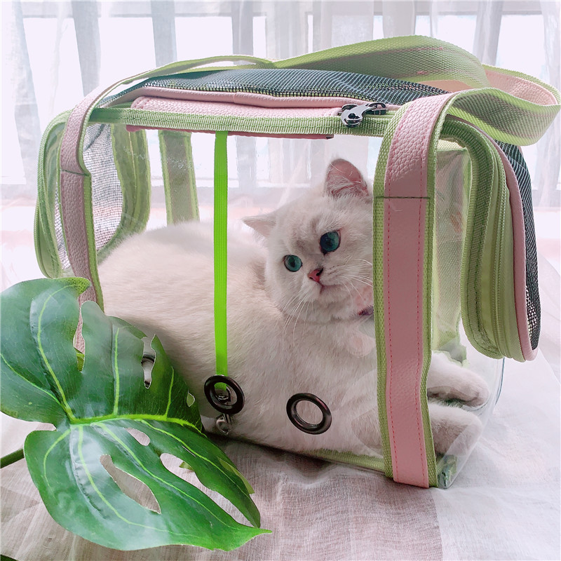 강아지 고양이 이동가방 배낭  마카롱 투명 고양이 스페이스룸 애완동물 샤워 숄더백 강아지 휴대-576196