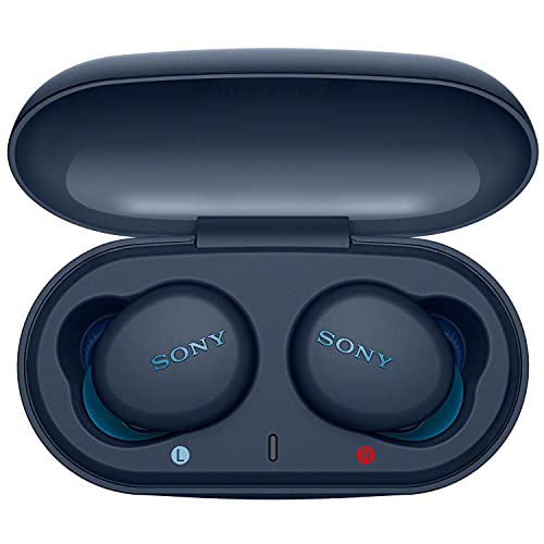 소니 Sony WF-XB700 Truly Wireless 블루투스 헤드폰 (추가 BASS 포함) WFXB700 , L Blue 번들 (Tech Smart 포함) USA Audio Entertainment Essent 미국출고-577657