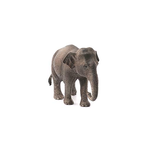 슈라이히 와일드라이프 인도 코끼리 (암) 14753 601717 피규어 키덜트 일본