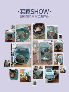 강아지 고양이 이동가방 배낭  반려동물 항공박스 고양이 손 고양이 우리 휴대 외출 고양이 차량용 상자 고양이 가방 소형-576177
