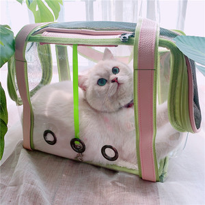 강아지 고양이 이동가방 배낭  마카롱 투명 고양이 스페이스룸 애완동물 샤워 숄더백 강아지 휴대-576196