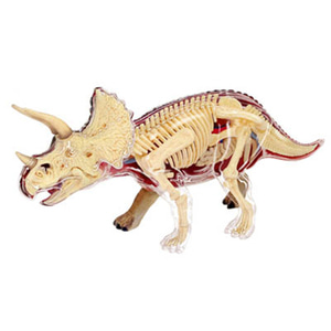 인체 모형 4D 마스터 트리케라톱스 공룡 장기 해부 동물용-624174