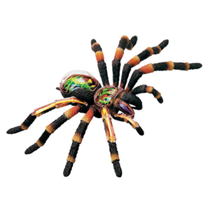 인체 모형 4D 마스터 퍼즐 애니멀 거미 장기 해부-624158