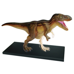 인체 모형 4D 마스터 조립 장식 공룡 티라노사우루스 트리케라톱스-624177