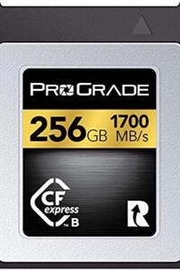 프로그레이드 디지털 256GB CFexpress 타입 B 메모리 카드 (골드) 미국-638233