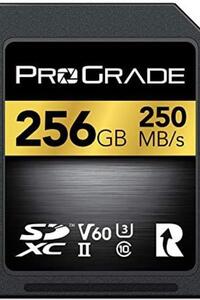 SD UHS-II 256GB 카드 V60 – 최대 130MB/s 쓰기 속도 및 250MB/s 읽기 미국-638247